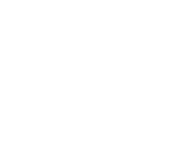 Affirmative Action & EEO Consulting Services